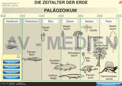 Erdzeitalter Biologie Jamie Paul Smith