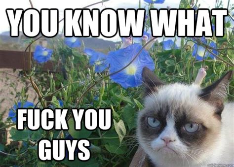 You Know What Fuck You Guys Cheer Up Grumpy Cat Quickmeme