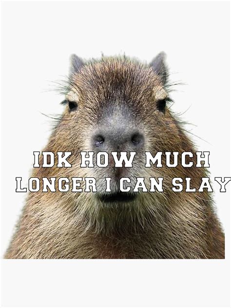 "Idk How Much Longer I Can Slay Capybara Sarcastic Dank Meme Quote ...