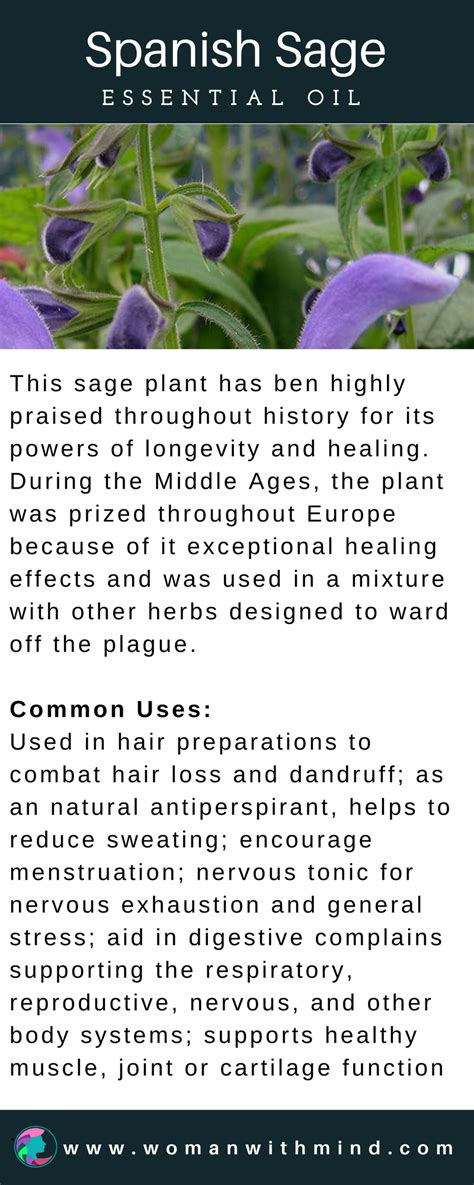 Sage And Spanish Sage Essential Oil Essential Oils Herbs Essential