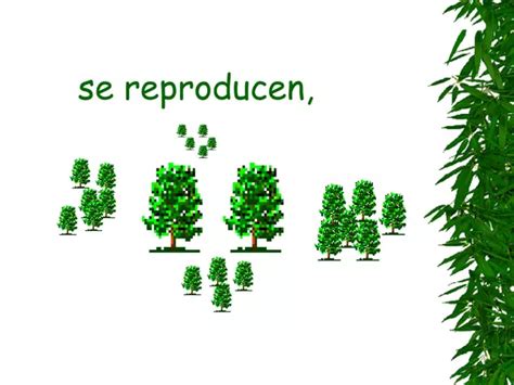 partes de una planta | profe.social 