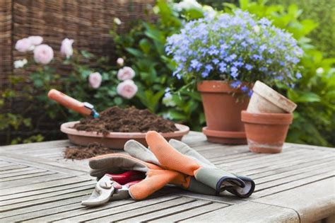 Gardening Gloves: 9 of the Best Gardening Gloves for Working Outdoors ...