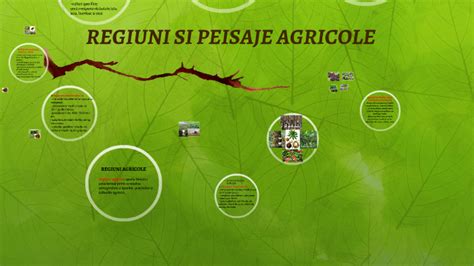 Regiuni Si Peisaje Agricole By Cazan Carmen On Prezi
