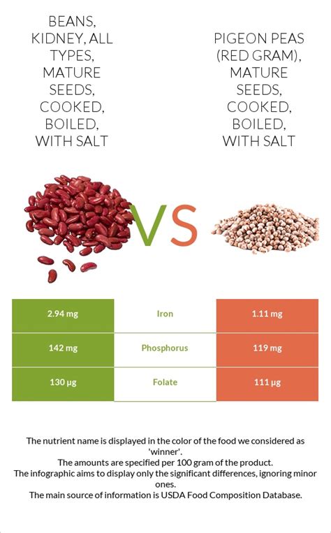 Beans Kidney All Types Mature Seeds Cooked Boiled With Salt Vs