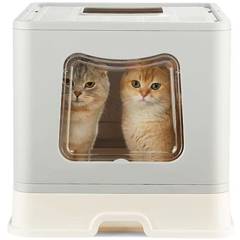 Biggest Litter Box The 15 Best Products Compared Wild Explained