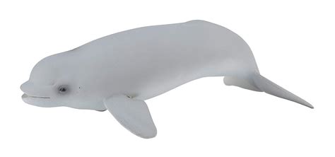 Collecta Beluga Whale Calf Toy Figurine - 4892900886176