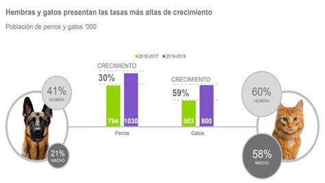 Per El Impacto De Las Mascotas En Casi La Mitad De Los Hogares Peruanos