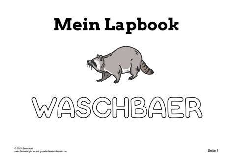 Mein Lapbook Der Waschb R Grundschule Und Basteln In