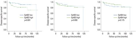 Low Expression Of Ephb Ephb And Ephb In Bladder Cancer Novel