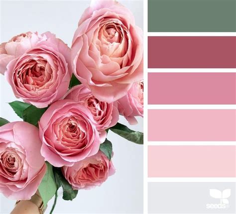 Paleta De Cores Rosa E Roxa Paleta De Cores Rosa Pale