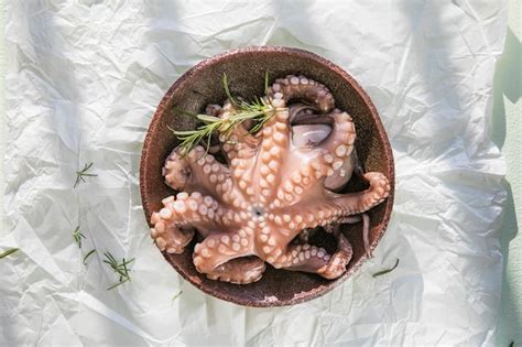 El pulpo está crudo listo para cocinar concepto creativo de comida