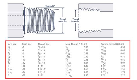 Bsp Fittings An Essential Guide Hydraxio China Ss Hydraulic