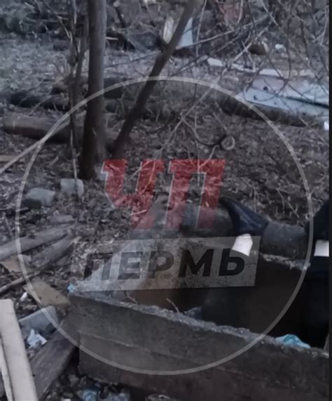Труп женщины был обнаружен вечером 26 апреля | ЧП и ДТП | Чрезвычайное ...