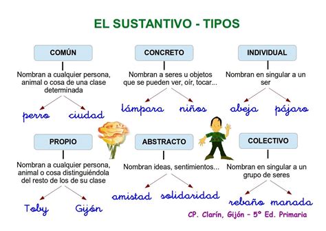 TOMi digital Clasificación de Sustantivos