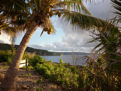 Christmas Island Is Real—heres Why You Should Go Condé Nast Traveler