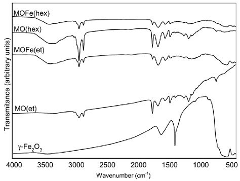 Ftir Spectra Of Iron Oxide Nanoparticles γ Fe 2 O 3 Magnetic