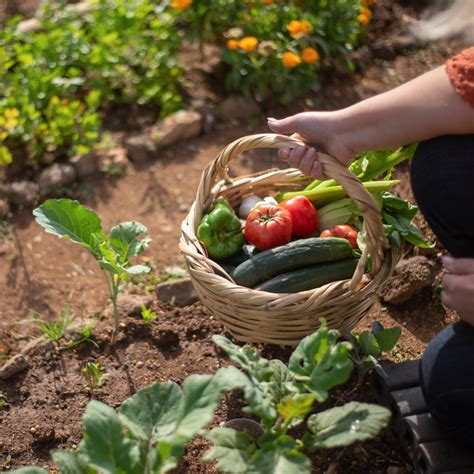 The Benefits Of Home Gardening How Caring For Your Garden Can Make You