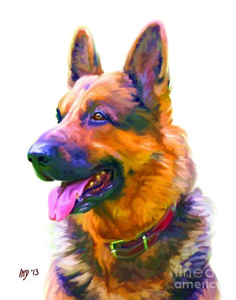 German Shepherd Art Painting By Iain Mcdonald Fine Art America