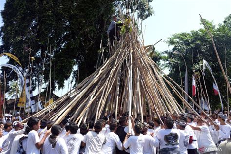 Tradisi Mekotek Saat Hari Raya Kuningan Di Bali Antara News