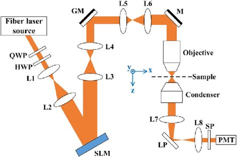 Experimental setup. QWP, quarter-wave plate; HWP, halfwave plate; L,... | Download Scientific ...