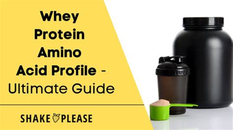 Whey Protein Amino Acid Profile - Ultimate Guide – Shake Please