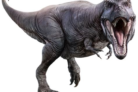 BEYOND LOCAL: Newly discovered giant dinosaur has similarities with T ...