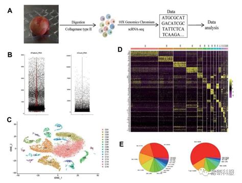 10x Genomics单细胞转录组文章利用单细胞RNA测序研究原发性人类股骨头组织细胞组成 知乎