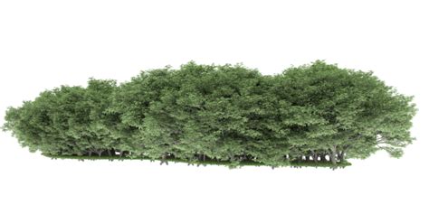 Tree Architecture Pngs For Free Download
