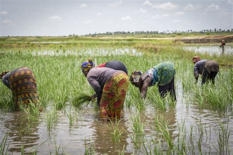 Un Budget De 11 70 Millions De Dollars De La Banque Africaine De