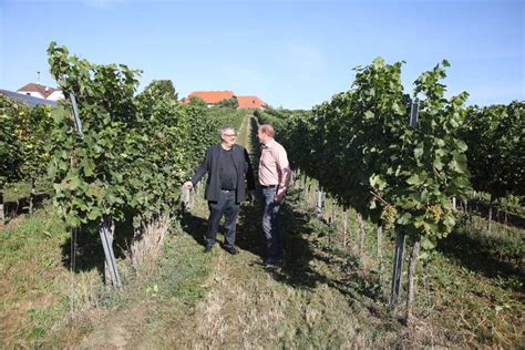 Magnum Grüner Veltliner Selection Schwander 2021 Weingut Oskar Hager