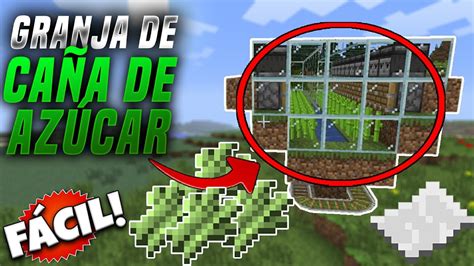 COMO HACER una GRANJA de CAÑA DE AZÚCAR en Minecraft 1 16 5 Bichoman