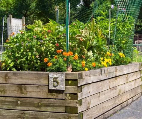 How High Raised Bed To Keep Rabbits Out Gardening Slash