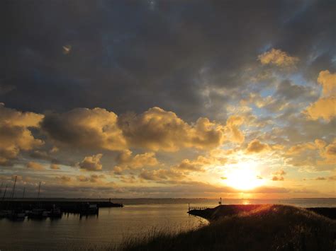 Kats Door Geeske Harkema Kats De Zon Kwam Bewolkt Maar Pr Flickr