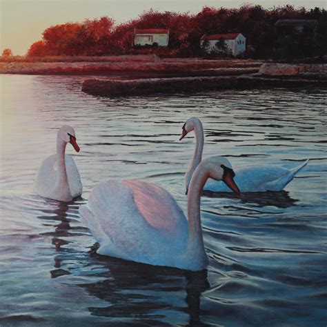 Swans Dancing Oil on Canvas Painting of 3 Swans on a Lake at Sunset, 70 X 100 Cm / 27.6 X 39.4 ...