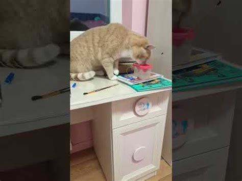 крадём кистачки🥰🤣 - YouTube
