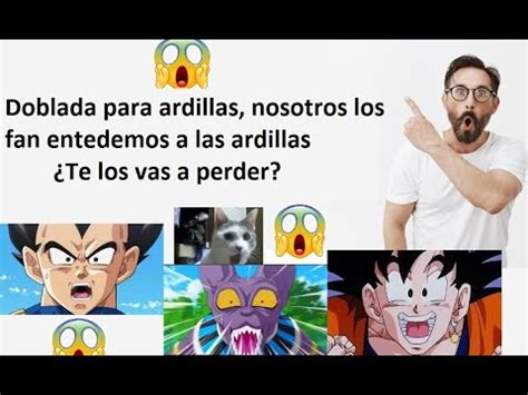 Goku vs Jiren Pelea Completa Español Latino Full HD 1080p jiren hit