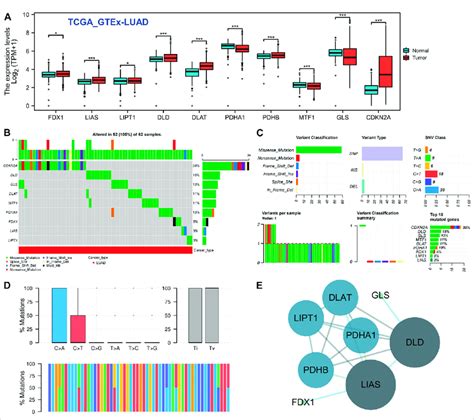 Expression Difference And Gene Mutation Of Crgs In Luad A Expression