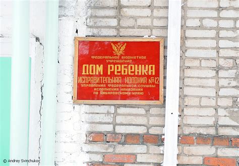 Женская колония » BigPicture.ru