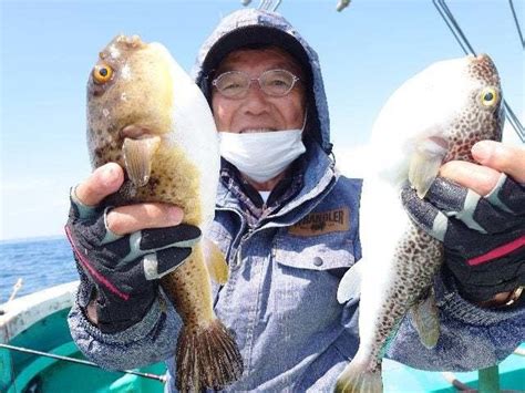 【釣果速報】千葉県利永丸でショウサイフグ爆釣！竿頭49匹！あなたも千葉県利永丸でショウサイフグを狙おう！｜釣りまとめアンテナ