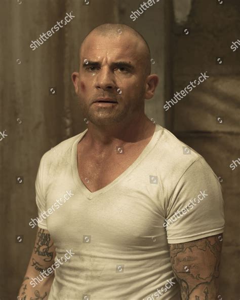 Dominic Purcell Editorial Stock Photo - Stock Image | Shutterstock