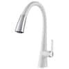 KRAUS Nolen Single Handle Pull Down Sprayer Kitchen Faucet With Dual