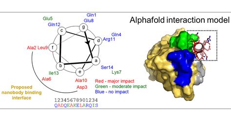 Characterization Of A Nanobody Epitope Tag Interaction And Its