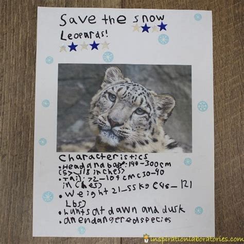 Endangered Species Poster Project Inspiration Laboratories