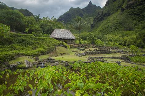 Kauai - Limahuli Garden & Preserve