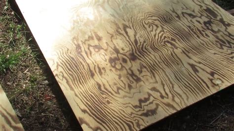 Burnt Plywood Flooring Floor Roma
