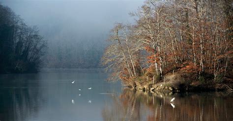 Riserva Naturale Valle DellInferno E Bandella Discover Arezzo