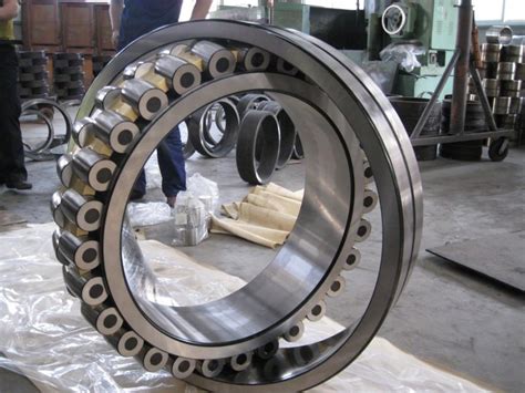 Massive Roller Bearing Mechanicstips