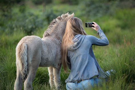 800+ Best Donkey Photos · 100% Free Download · Pexels Stock Photos