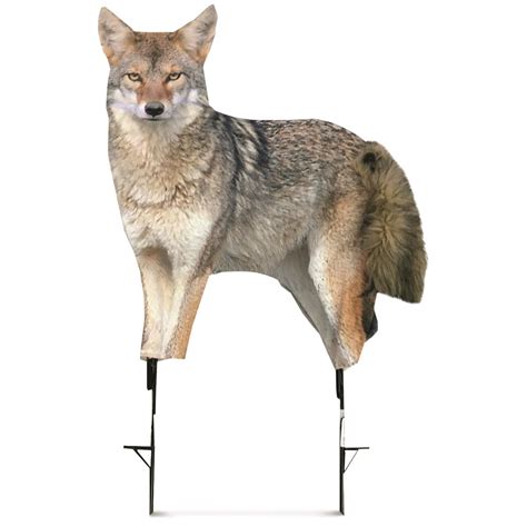 Montana Decoy Song Dog Coyote Decoy Sportsmans Guide