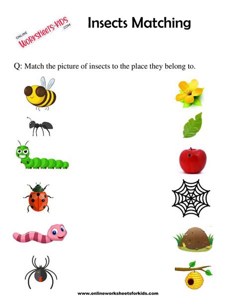 Printable Insect Worksheets For Preschool